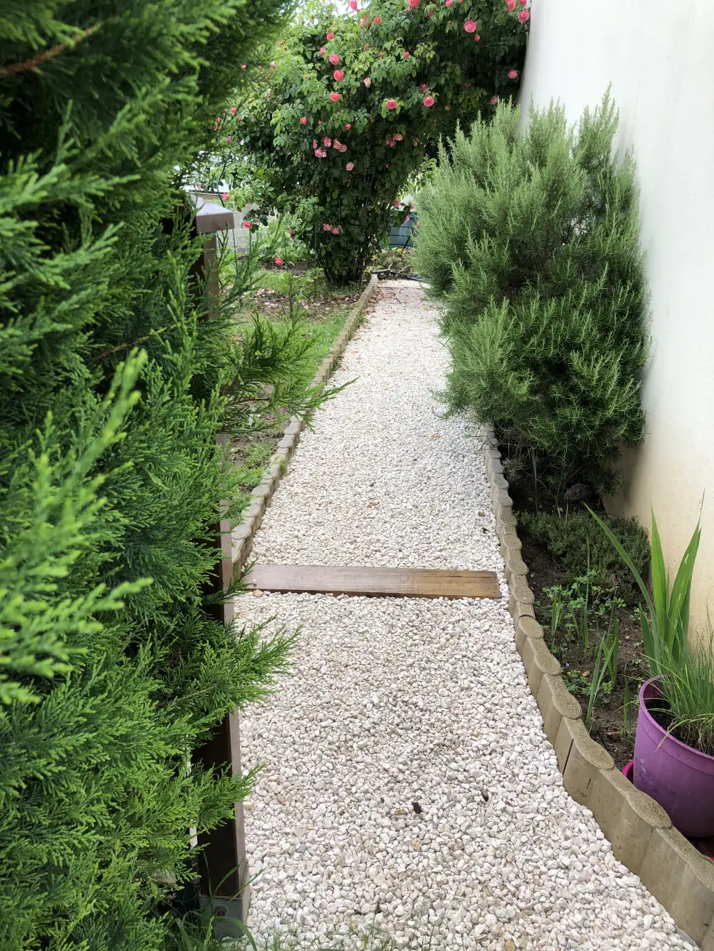 Allée de gravier bordée de plantes