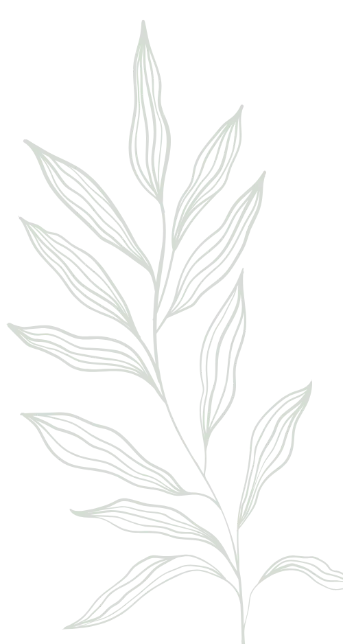 Illustration de feuilles